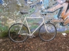 Gazelle Sportrad