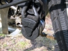 Koga Miyata Union Dynamo
